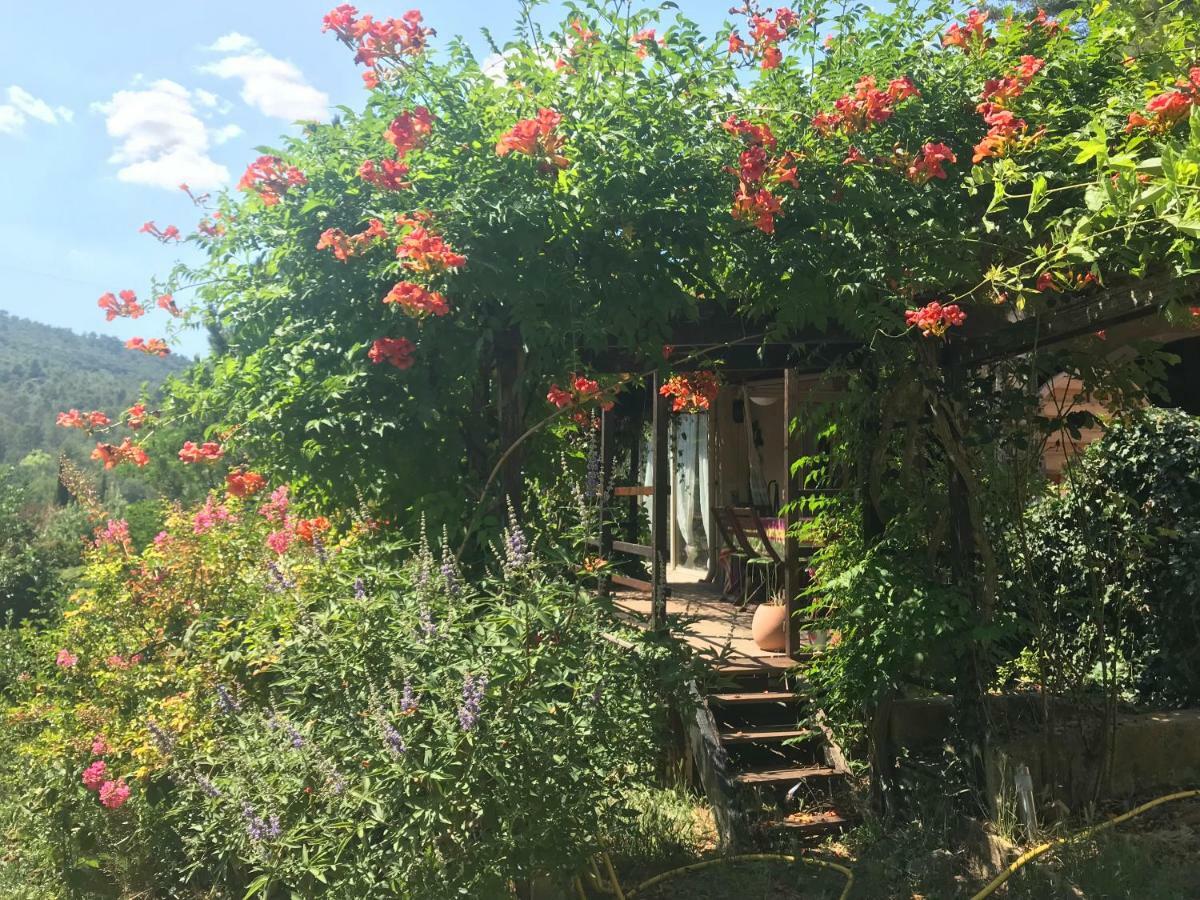 Gites Du Raby Сінь Екстер'єр фото